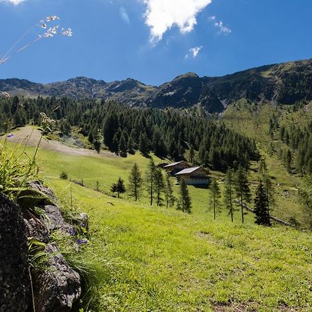 Feldererhof Apt Almenblick Санта-Маддалена-ин-Казиес Экстерьер фото